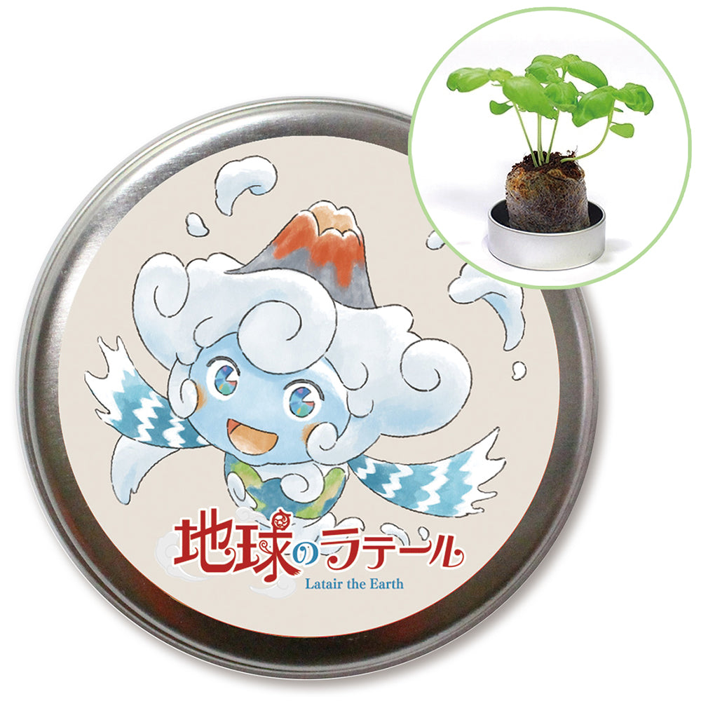 地球のラテール 缶入り栽培キット(バジル)