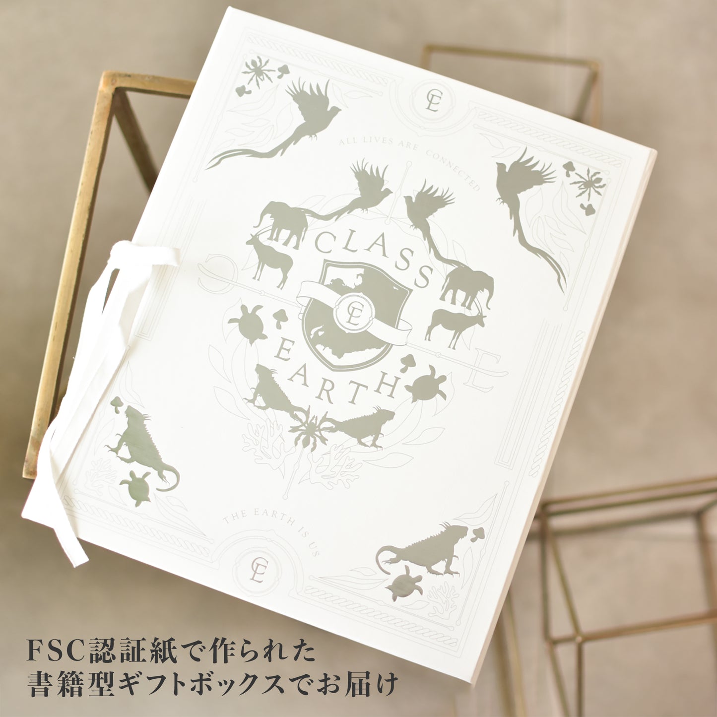 wizoo×ラテール コラボTシャツ −ギフトボックス入り