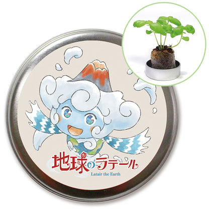 地球のラテール 缶入り栽培キット（バジル）