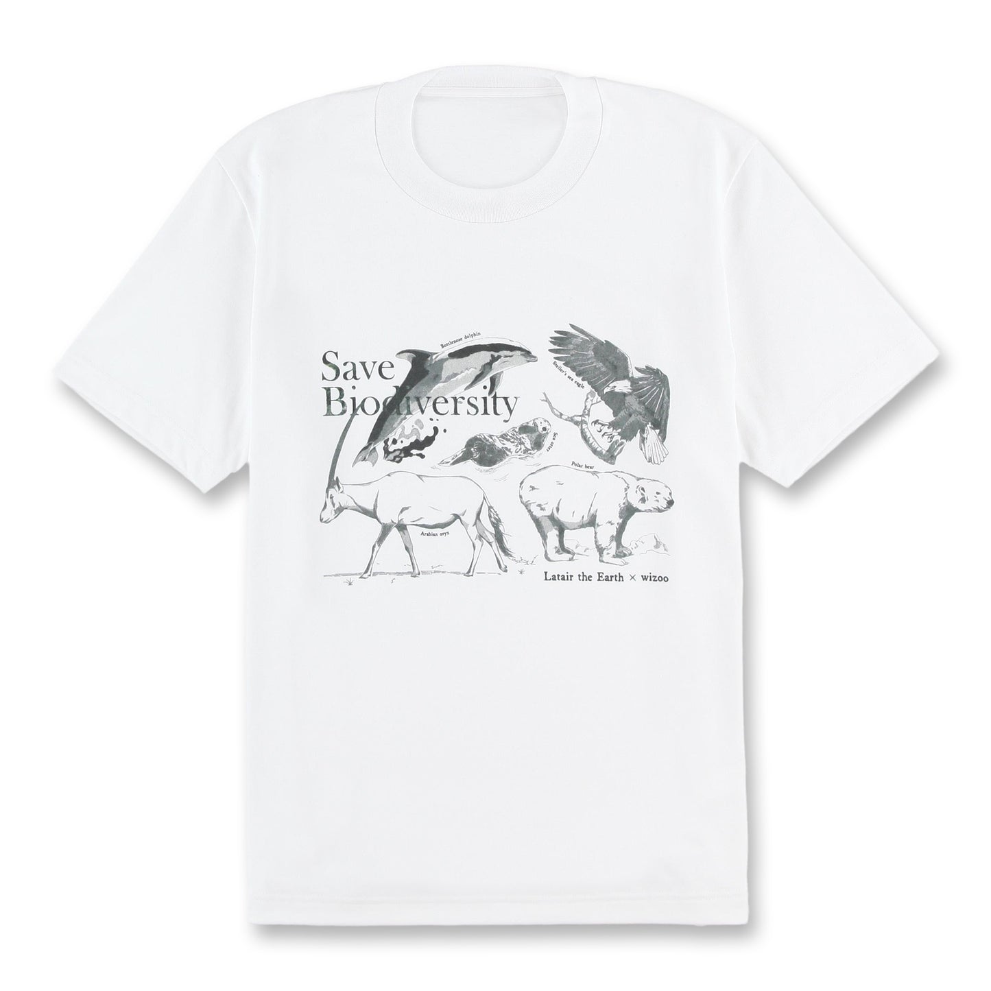 wizoo×ラテール コラボTシャツ −ギフトボックス入り