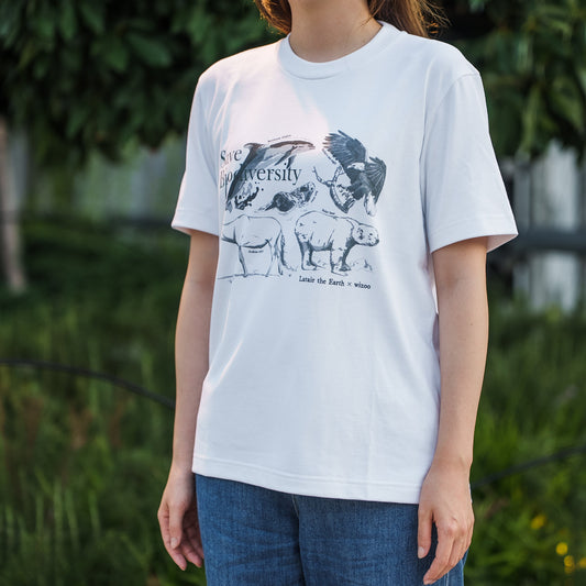 wizoo×ラテール コラボTシャツ −ギフトボックス入り
