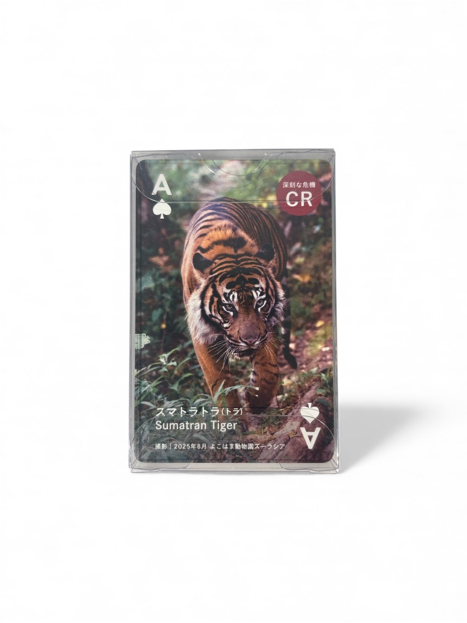 絶滅危惧種トランプ Endangered Species Playing Cards – Earth